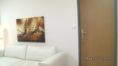 Smallish tits brown-haired masturbates in office